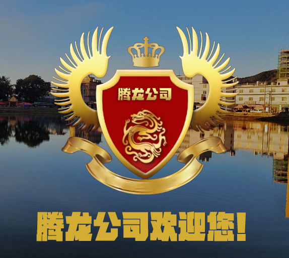 腾龙游戏年度发布会